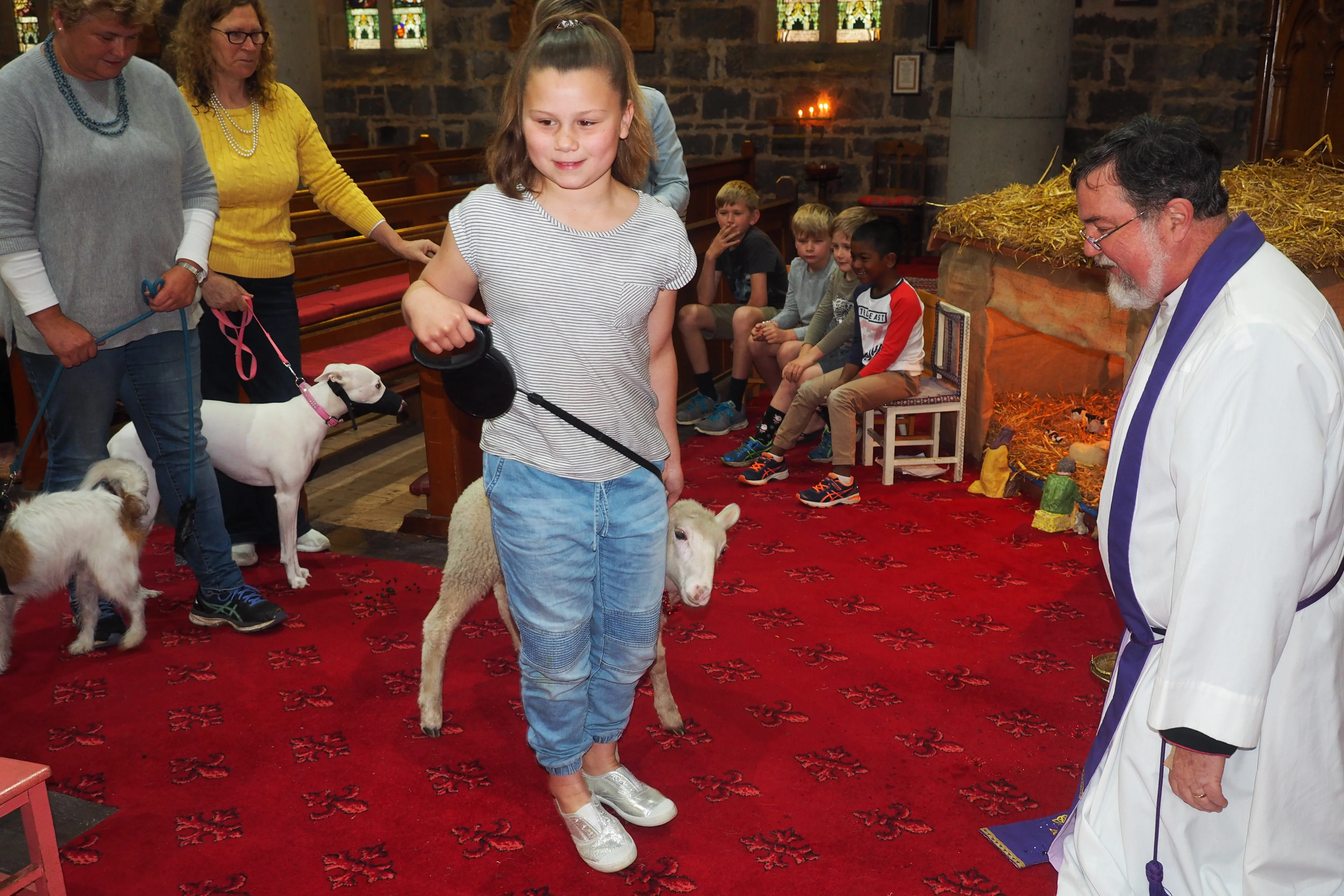 And a Sheep
